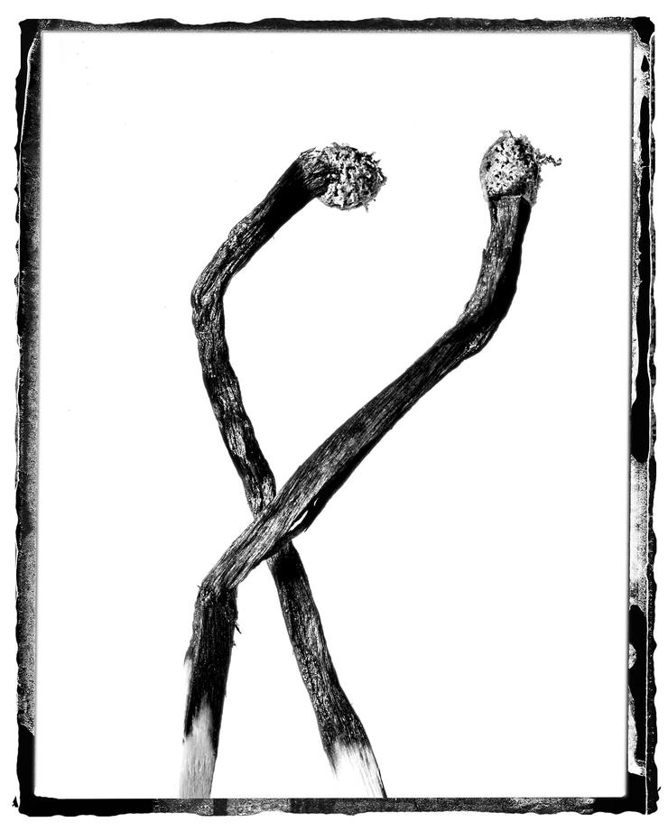 STICKY DANCE